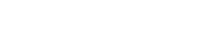 Revistronic